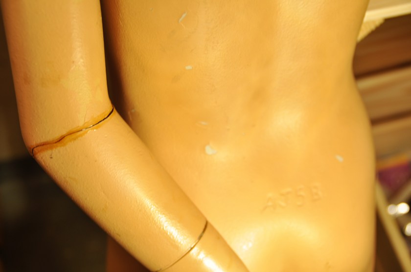 DSC_0637 - Kopie2.jpg