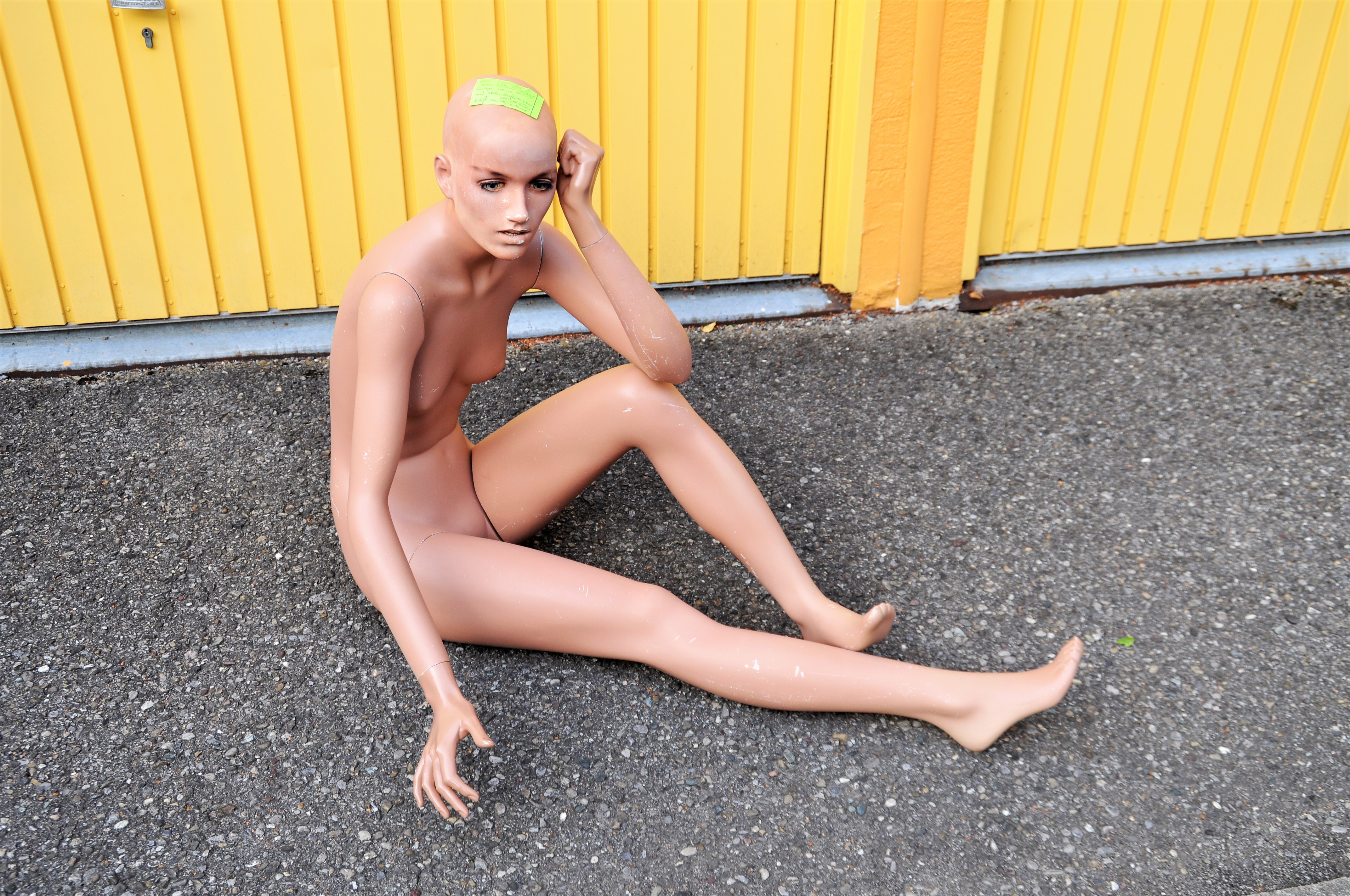 DSC_0201 - Kopie2.jpg