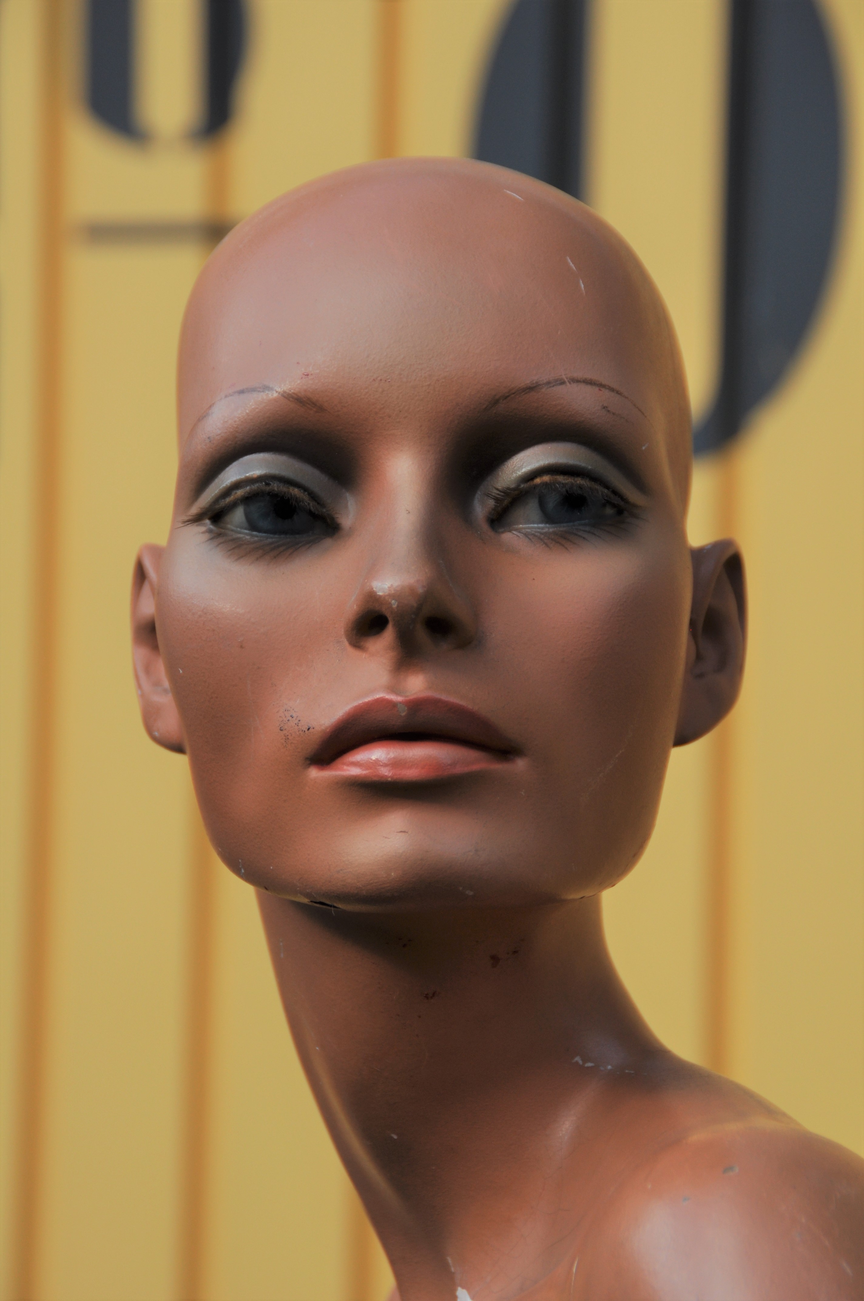 DSC_0640 - Kopie.JPG