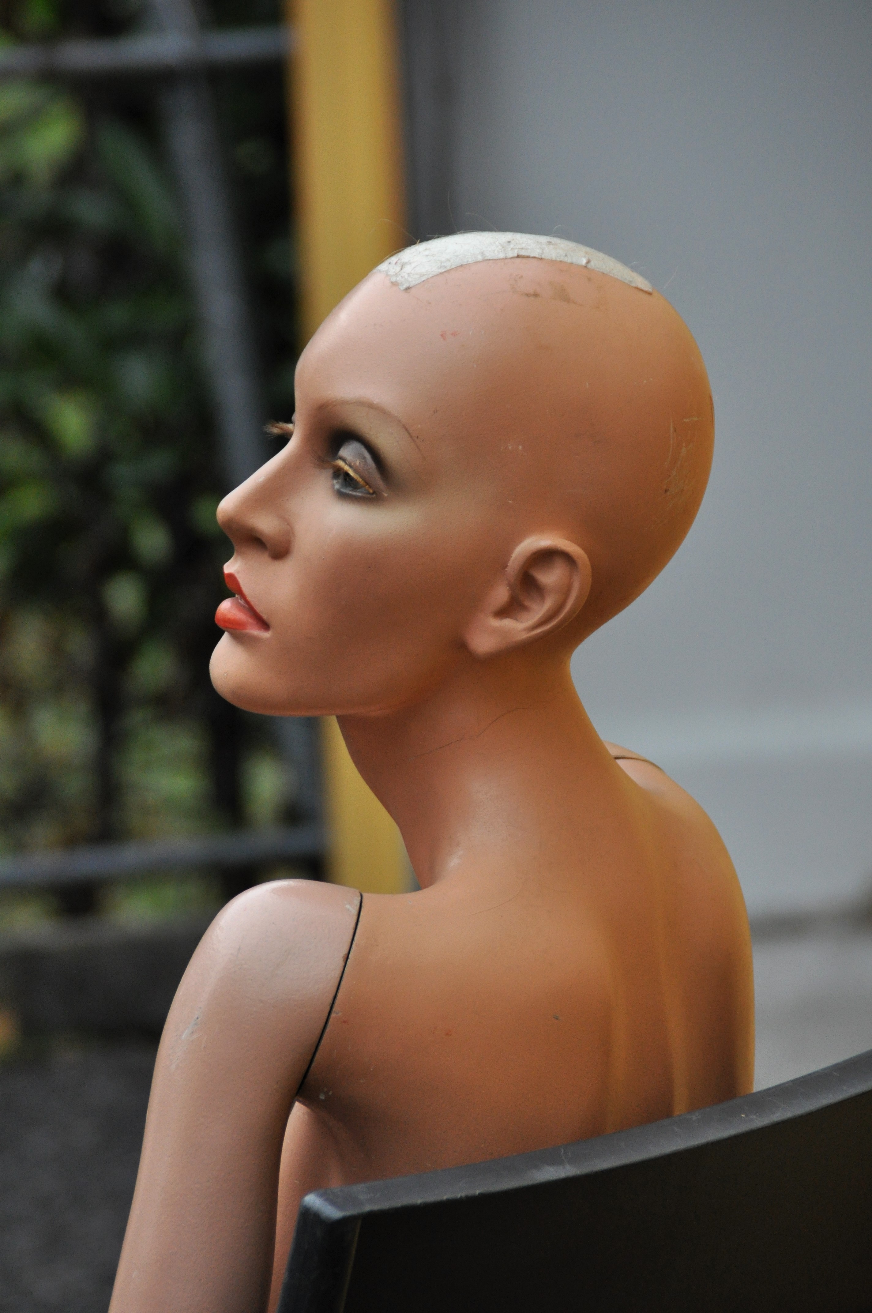 DSC_0782 - Kopie2.jpg