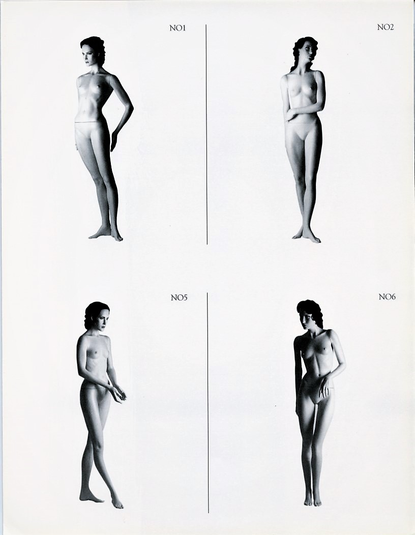 Patina V Noblesse oblige, Katalog 13b