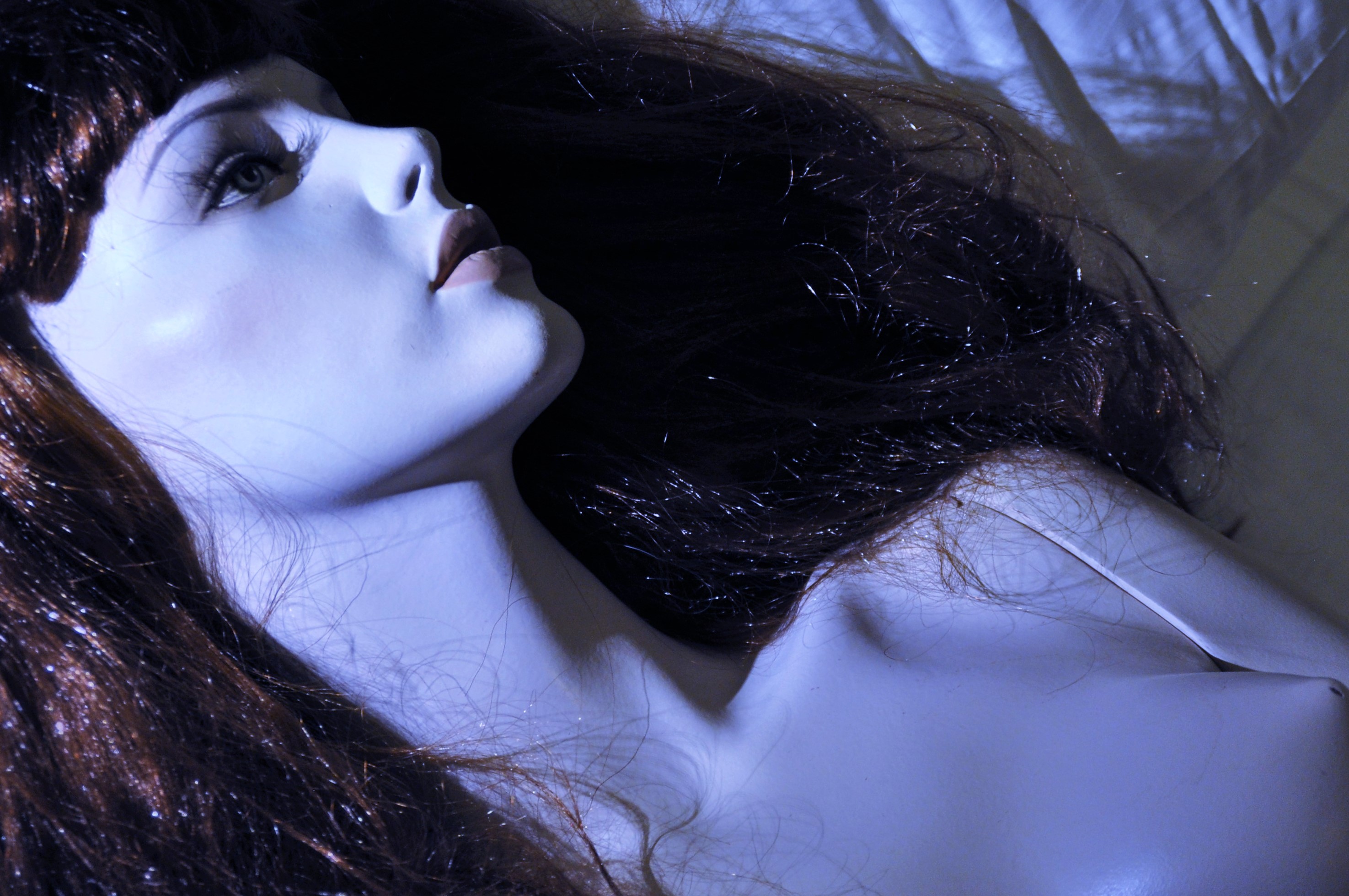 DSC_1013 - Kopie4.jpg