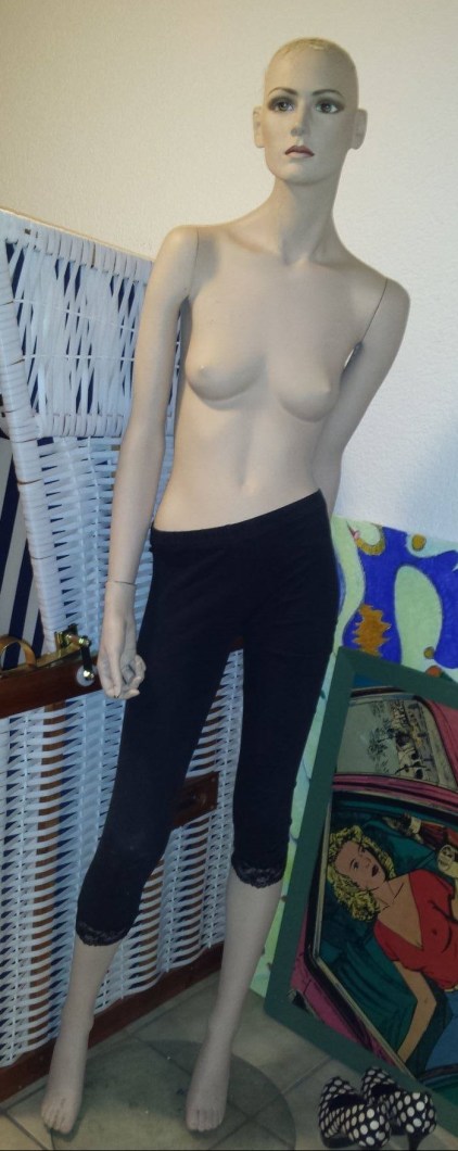 schoene-schaufensterpuppe