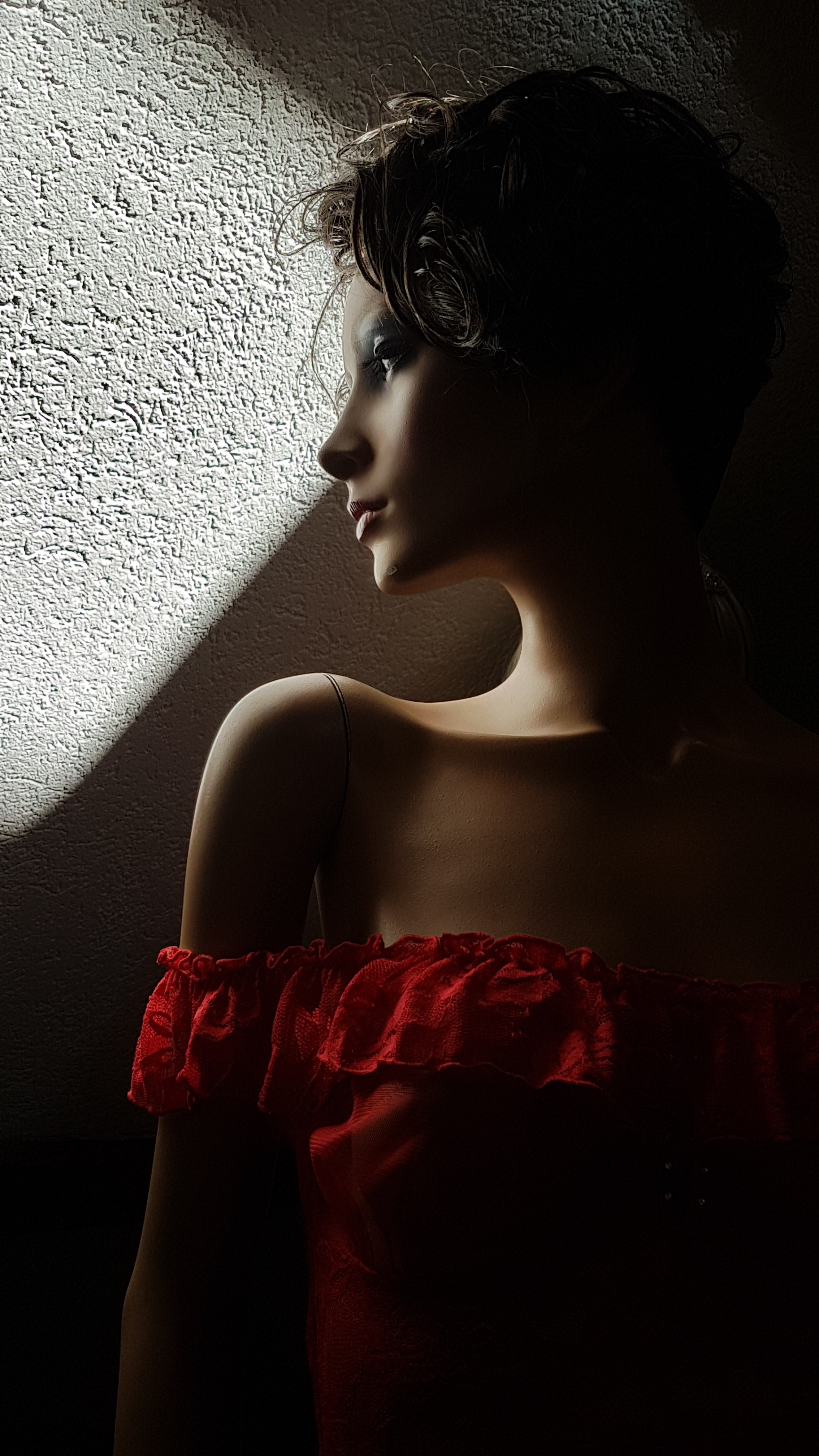 20190215_121301 (2).jpg