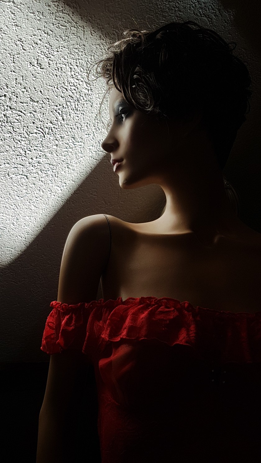 20190215_121301 (2).jpg