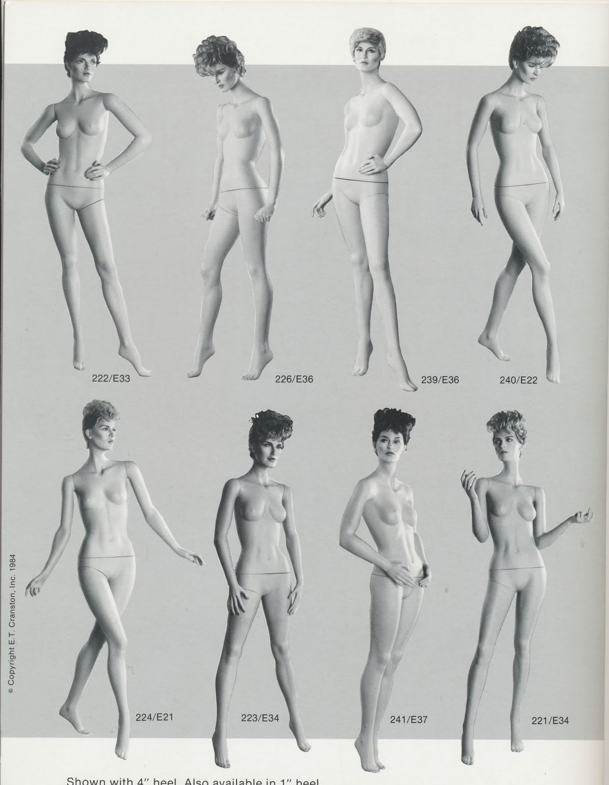 Phase II et cranston 07.jpg