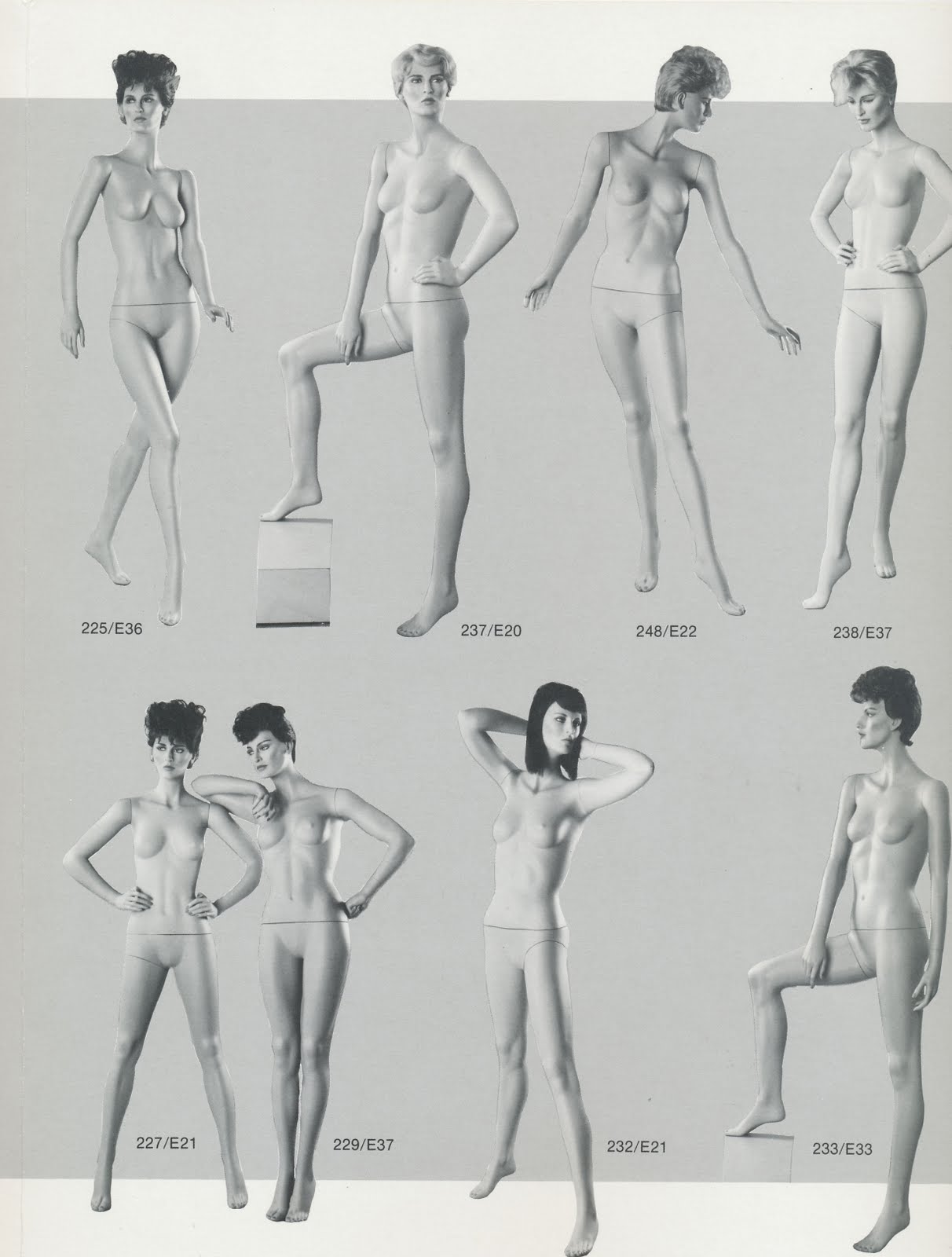 Phase II et cranston 10.jpg