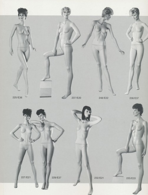 Phase II et cranston 10